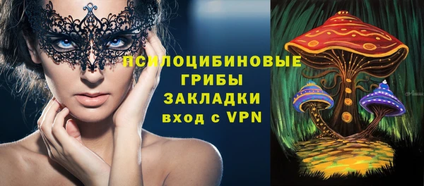прущая мука Алзамай